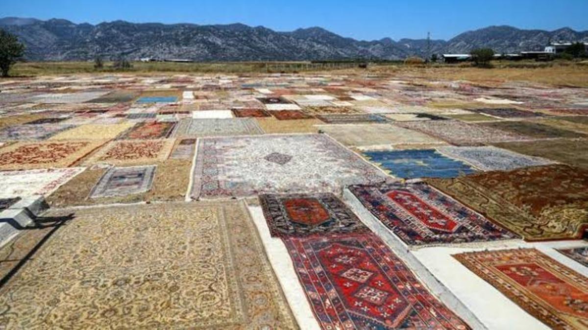 Halıdan tarla! Serip n&ouml;bet tutuyorlar 1