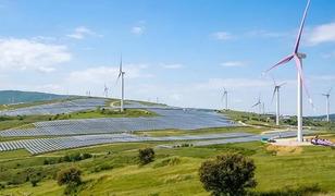Spot piyasada elektrik fiyatları (6 Temmuz 2026)