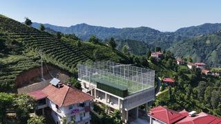 Rize'de şaşırtan manzara: Altı çay alım yeri üstü halı saha