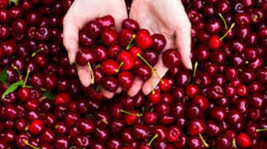 Tam da mevsimiyken iftardan sonra kiraz yemenin 6 faydası