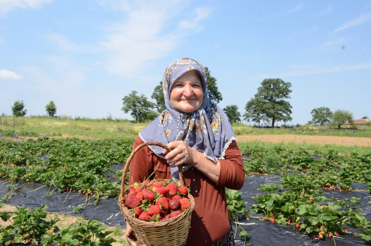 Hobi olarak başladı, 42 d&ouml;n&uuml;me &ccedil;ıkardı: Akın akın geliyorlar 1