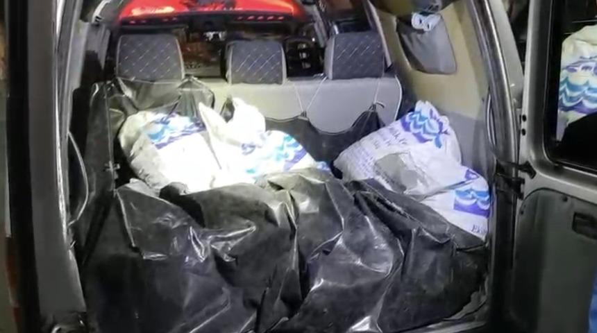 Ka&ccedil;ak toplanan 150 kilo kara kıllı midye denize geri bırakıldı