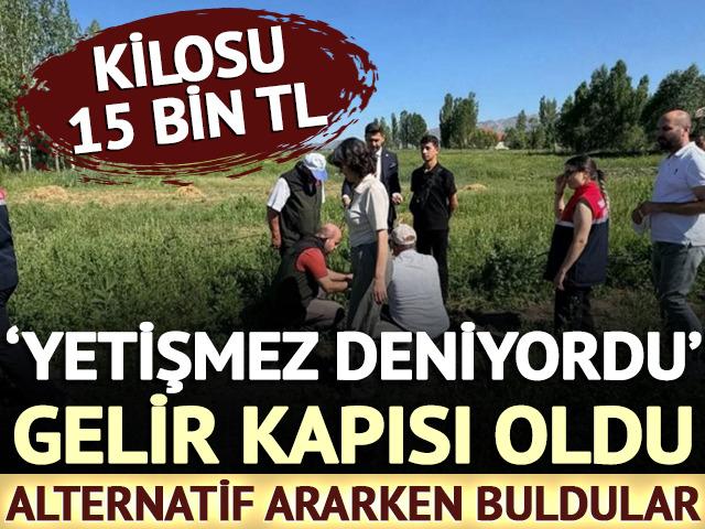 'Yetişmez deniyordu' Gelir kapısı oldu: Kilosu 15 bin TL