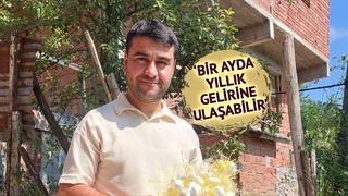 1 dönümden 130 bin TL geliri oldu 'Bu iş gerçekten çok karlı'