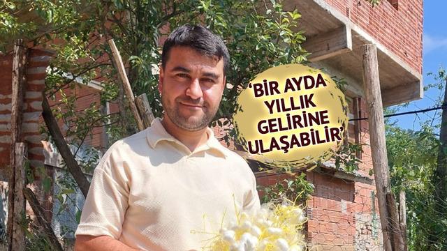 1 dönümden 130 bin TL geliri oldu 'Bu iş gerçekten çok karlı'