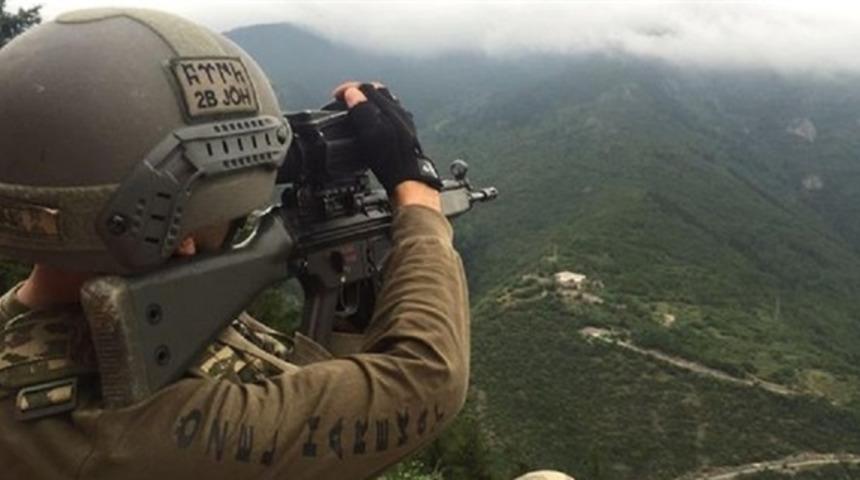 Doğu Karadeniz'de 'Fındık Dalı Harekatı' 