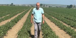 20 milyon TL zarar etti! O kadar soğudu ki... 'G&ouml;resim bile yok'