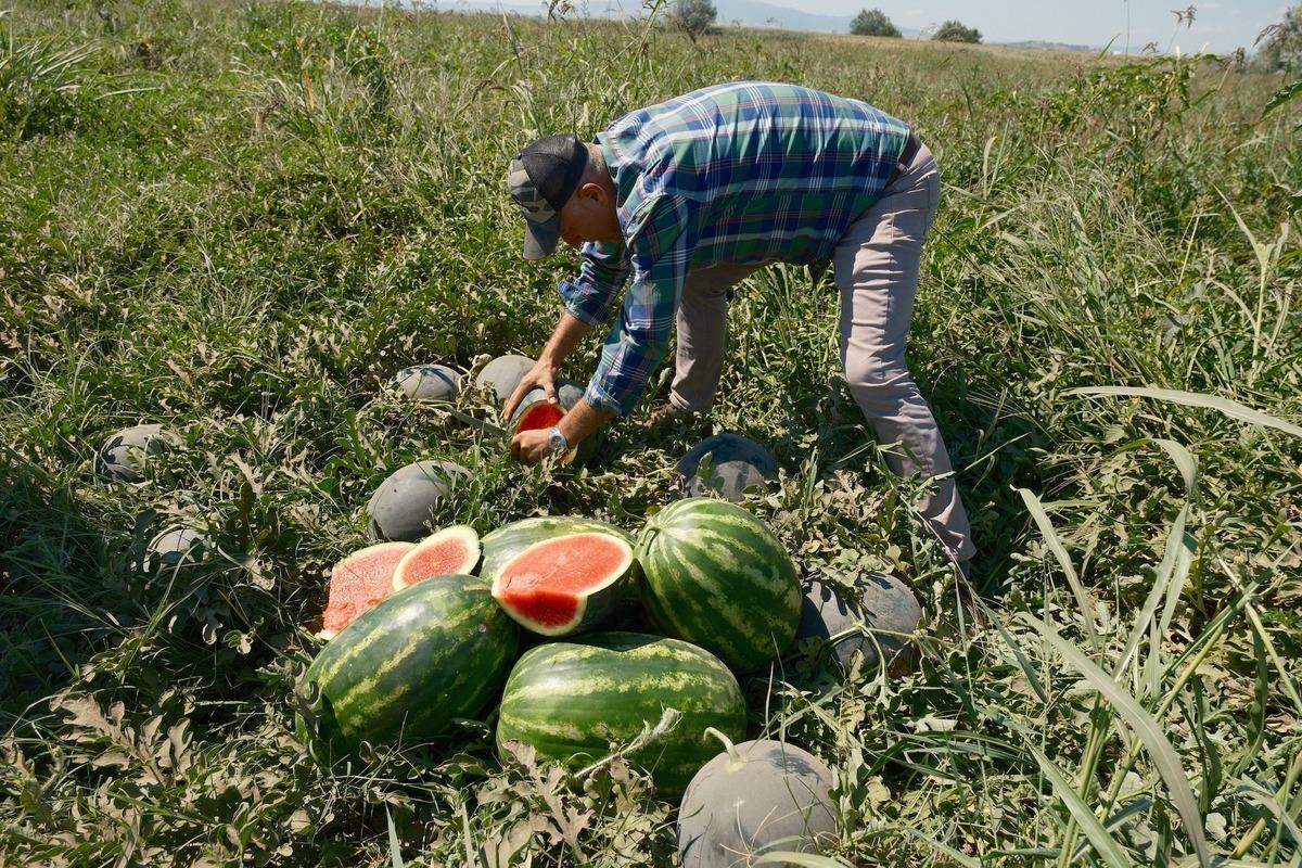 20 milyon TL zarar etti! O kadar soğudu ki...  G&ouml;resim bile yok  2