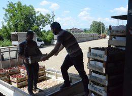 Kiraz dalında kaldı