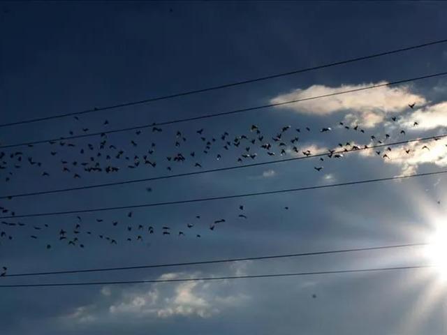 Spot piyasada elektrik fiyatları (8 Temmuz 2026)