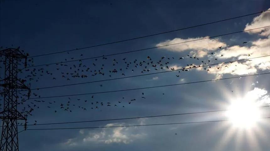 Spot piyasada elektrik fiyatları (8 Temmuz 2026)