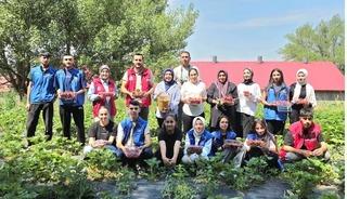 Ağrılı g&ouml;n&uuml;ll&uuml; gen&ccedil;lerden &ccedil;ilek hasadına destek