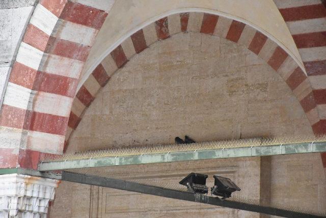 Edirne'de tarihi camilerdeki 'kuş konmazlar' kaldırıldı