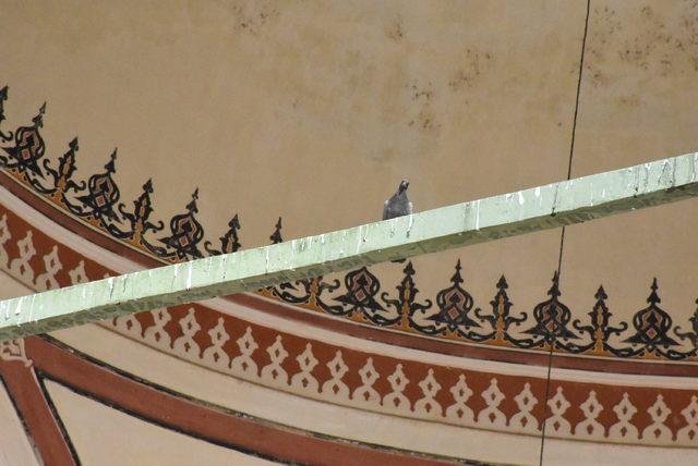 Edirne'de tarihi camilerdeki 'kuş konmazlar' kaldırıldı