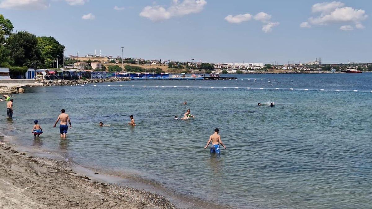 Marmara Denizi için kırmızı alarm! 50 yılda 2,5 derece arttı: Felaketin ayak sesleri geliyor 4