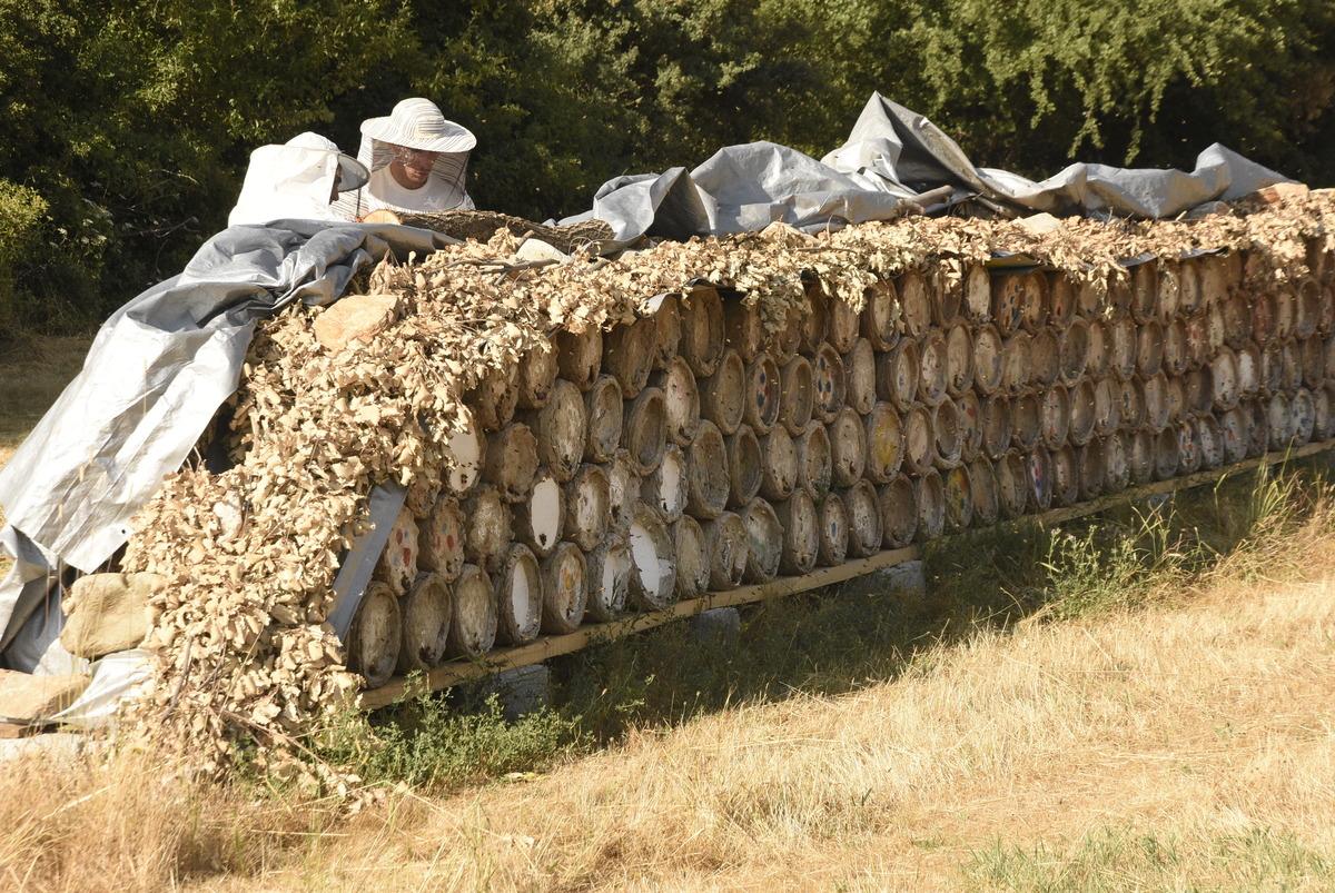 NATO zirvesinde çok beğenilen Hizan balı nedir? 3