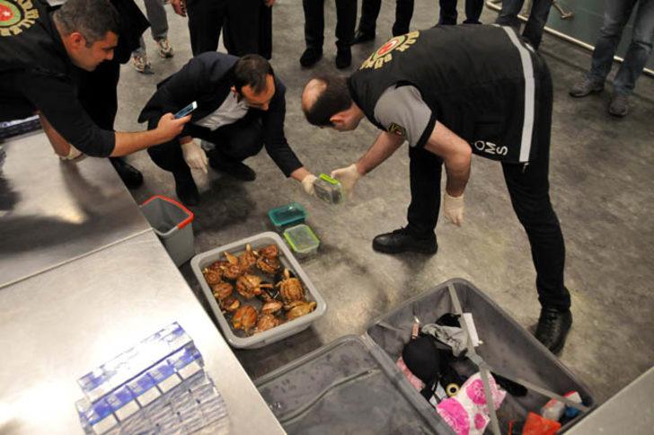 Valize yaklaşanlar dehşete düştü  G2