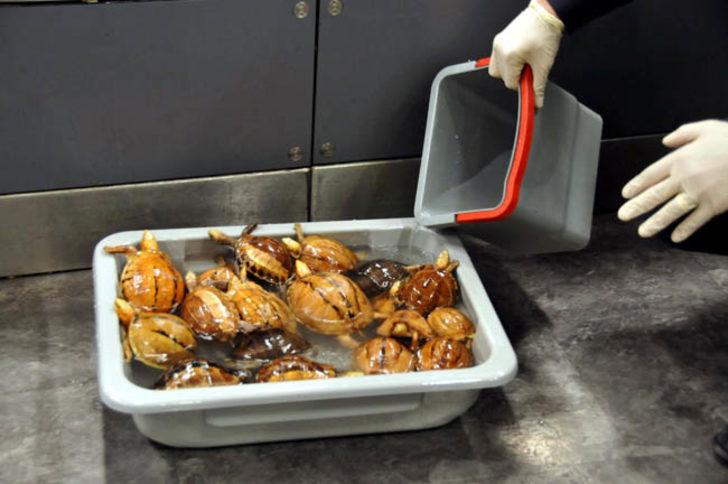 Valize yaklaşanlar dehşete düştü  G3