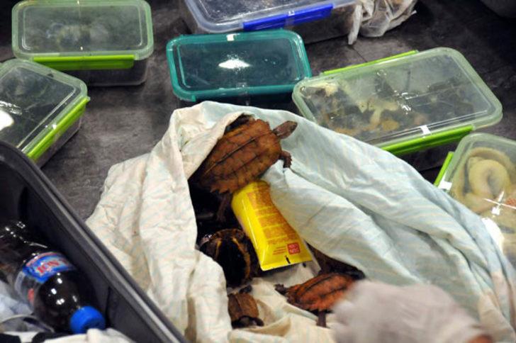 Valize yaklaşanlar dehşete düştü  G5