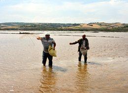 Türkiye pirinç ithal etmek zorunda kalmayacak