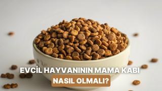 Kedilerin/köpeklerin bıyık stresine girmemesi için mama kabı seçerken bakılması gereken 10 özellik