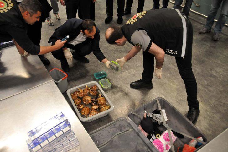  Teslim alınmayan valizden 9 çeşit canlı çıktı!  G3