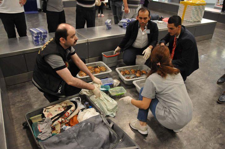  Teslim alınmayan valizden 9 çeşit canlı çıktı!  G5