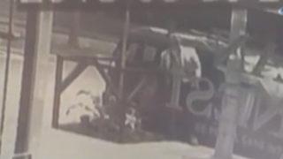 Trabzon'da Türk bayrağını yere atan şahsın görüntüsü büyük tepki çekti