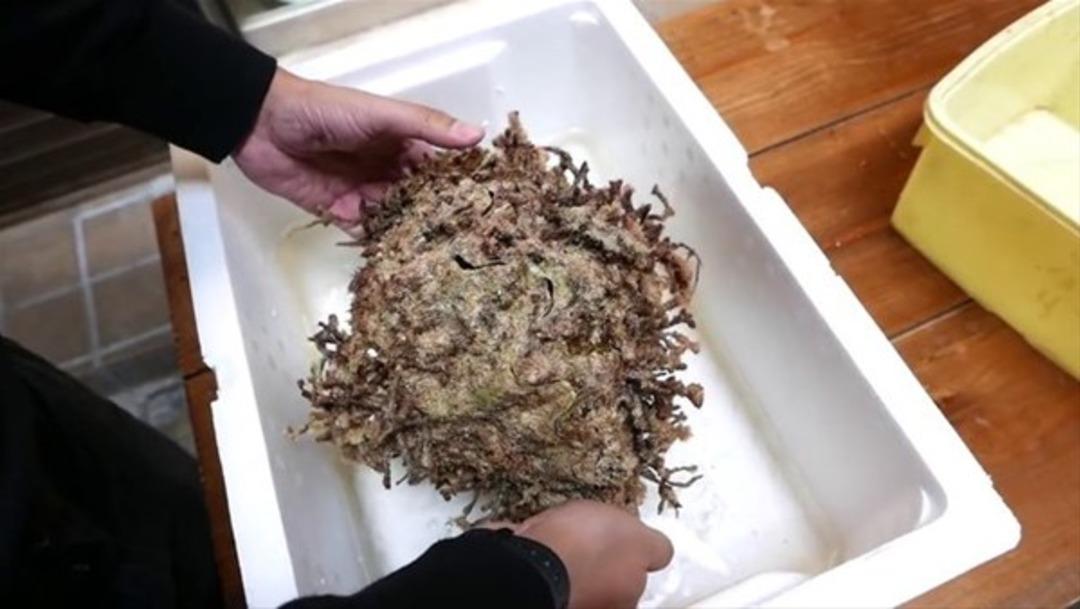 Japonların en pop&uuml;ler yiyeceği 