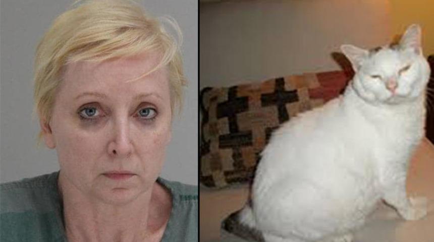 ABD'de bir kadın kocasını kedisi i&ccedil;in &ouml;ld&uuml;rd&uuml;