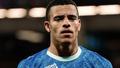 Fenerbah�e'ye Greenwood transferinde b�y�k �ok!
