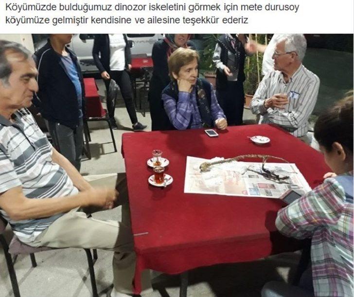 Yoksa dinozor mu? Esrarengiz fosilin sırrı çözüldü! G2