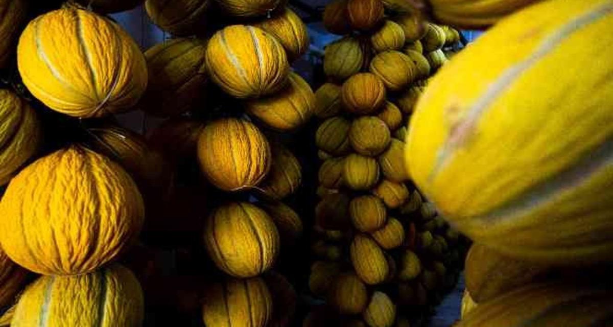 Bu lezzetin sırrı 100 yıllık! Hasadı başlar başlamaz kapışılıyor 1