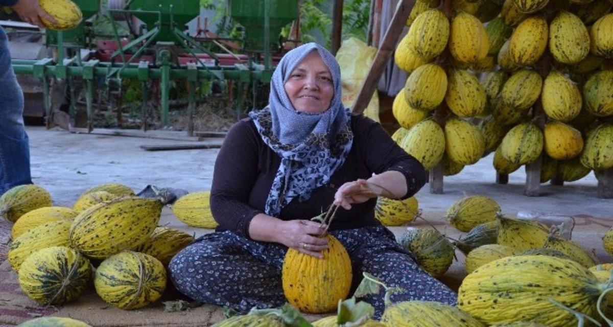 Bu lezzetin sırrı 100 yıllık! Hasadı başlar başlamaz kapışılıyor 2
