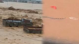 Sel felaketi sonrası korkutan gelişme! Baraj çöktü köyü yılanlar sardı