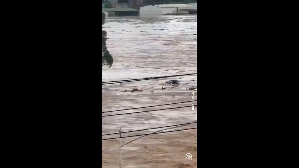 Sel felaketi sonrası korkutan gelişme! Baraj çöktü köyü yılanlar sardı 5