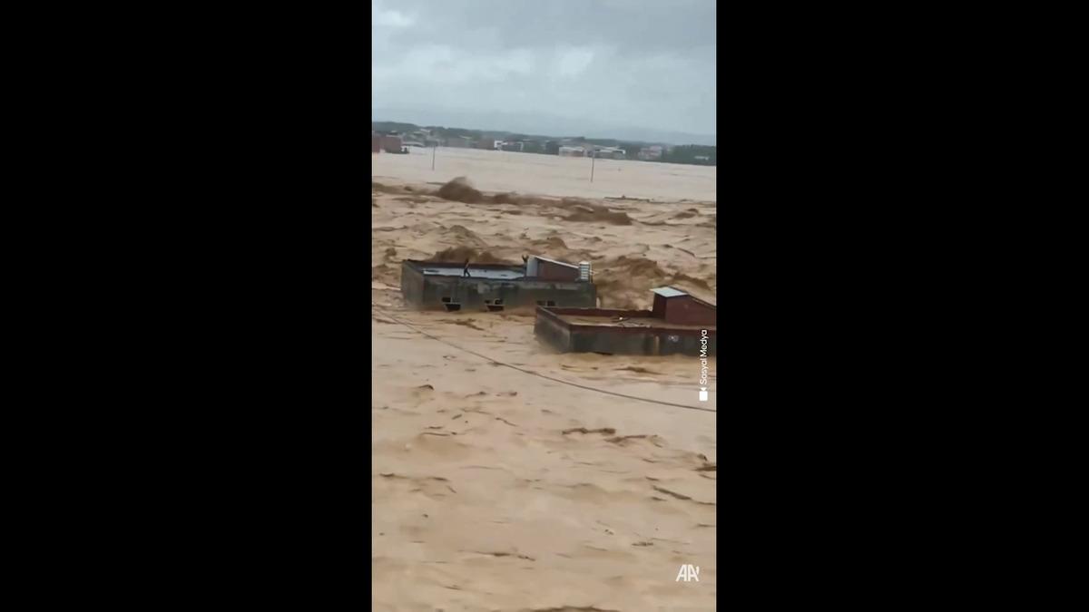 Sel felaketi sonrası korkutan gelişme! Baraj çöktü köyü yılanlar sardı 6