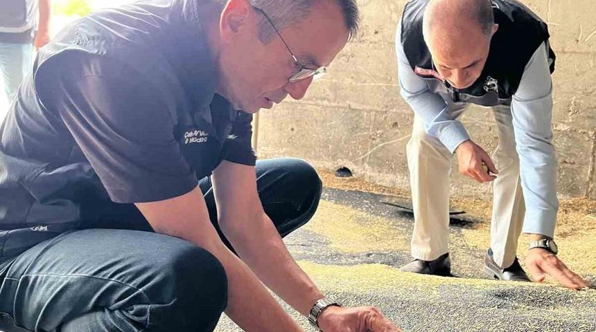 Bilecik&rsquo;te kanola ve ay&ccedil;i&ccedil;eği alımları hız kazandı
