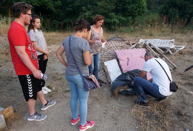 Barınağa tellerin üzerinden atılan 7 yavru köpek ölüsü bulundu