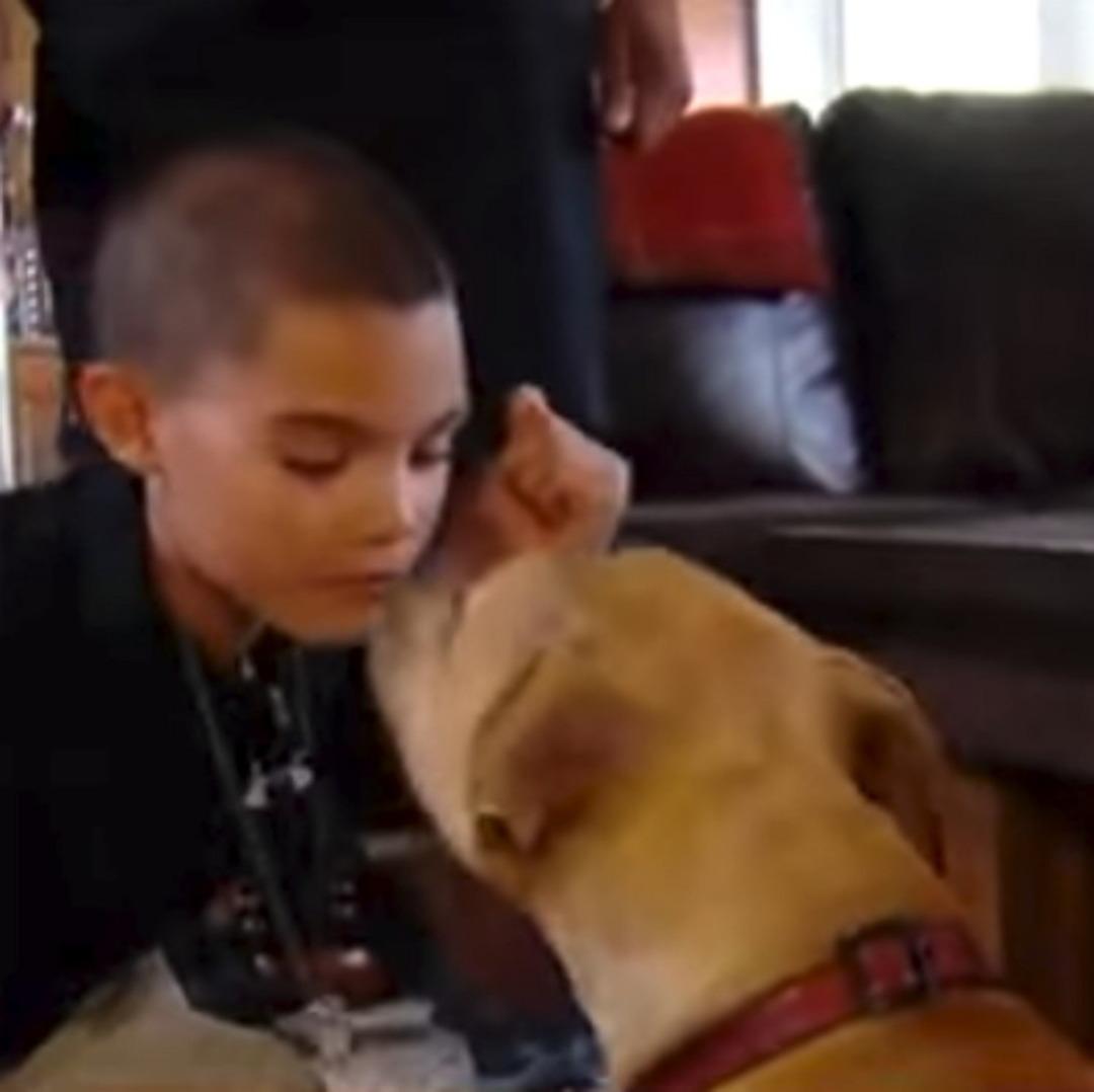 K&ouml;pek sahibini uluyarak kurtardı! Banyo kapısını a&ccedil;an kadın hayatının şokunu yaşadı...