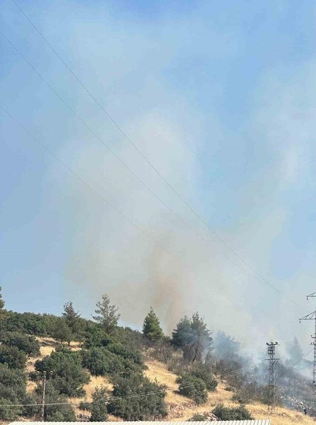 Kahramanmaraş’ta orman yangını 2