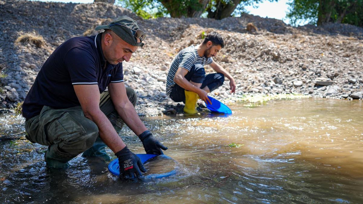 Türkiye nin derelerinden servet akıyor: Günde 20 grama kadar altın buluyorlar 1