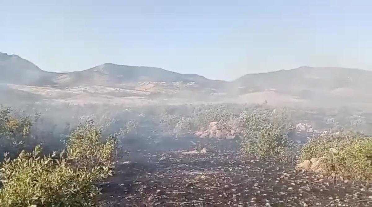 Diyarbakır da &ouml;rt&uuml; yangını &ccedil;ıktı 1