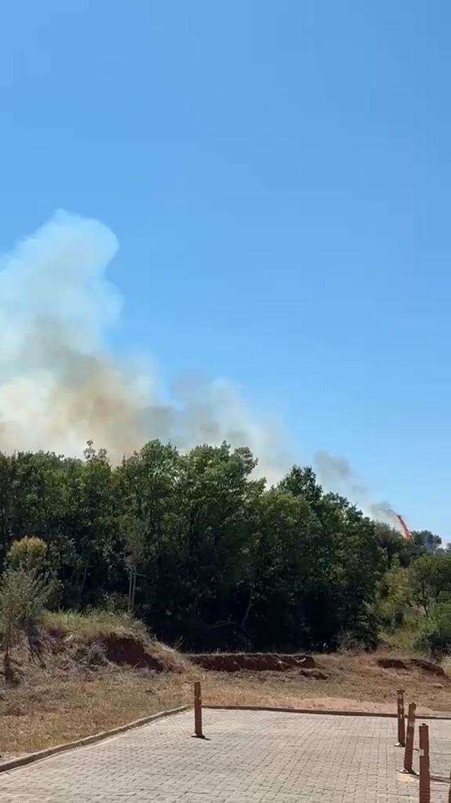 Kestel&rsquo;de orman yangını 3