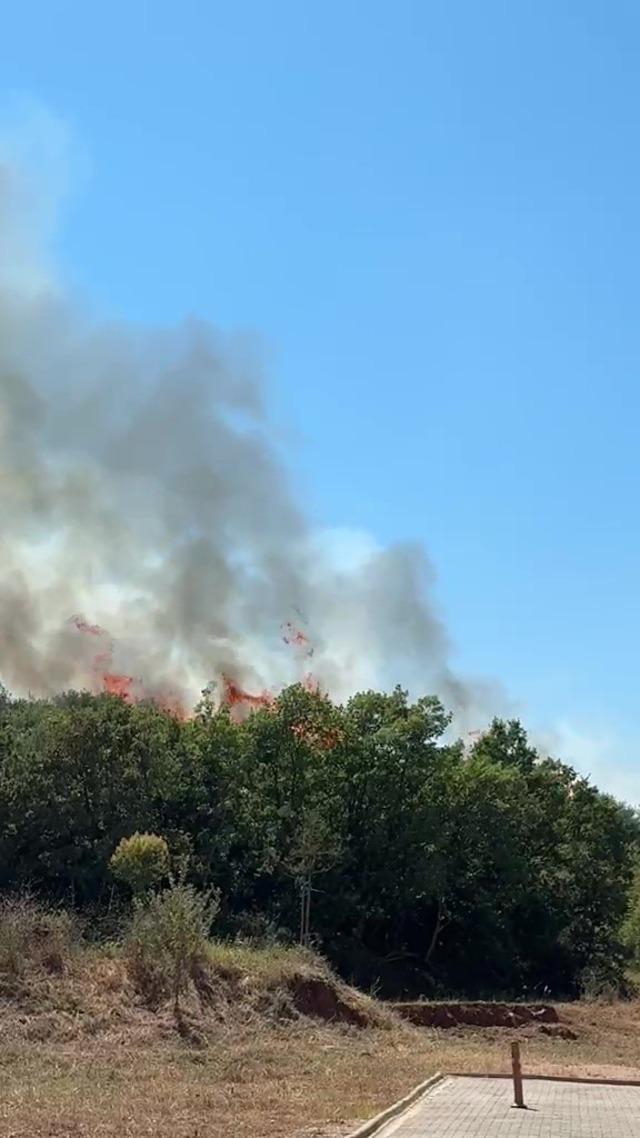 Kestel&rsquo;de orman yangını 2
