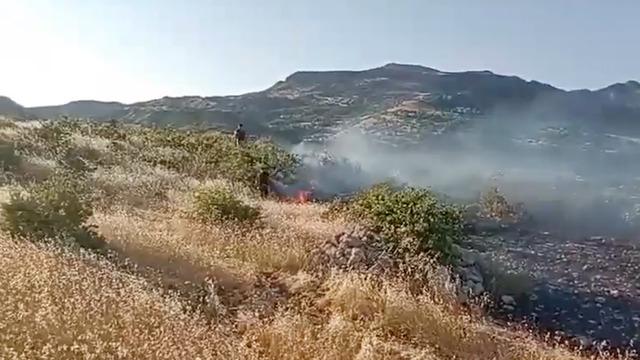 Diyarbakır'da örtü yangını çıktı