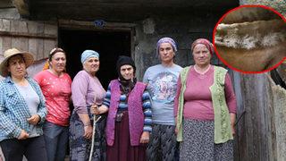 Artvin'in 3 ilçesindeki büyükbaş hayvan ölümleri tedirgin ediyor