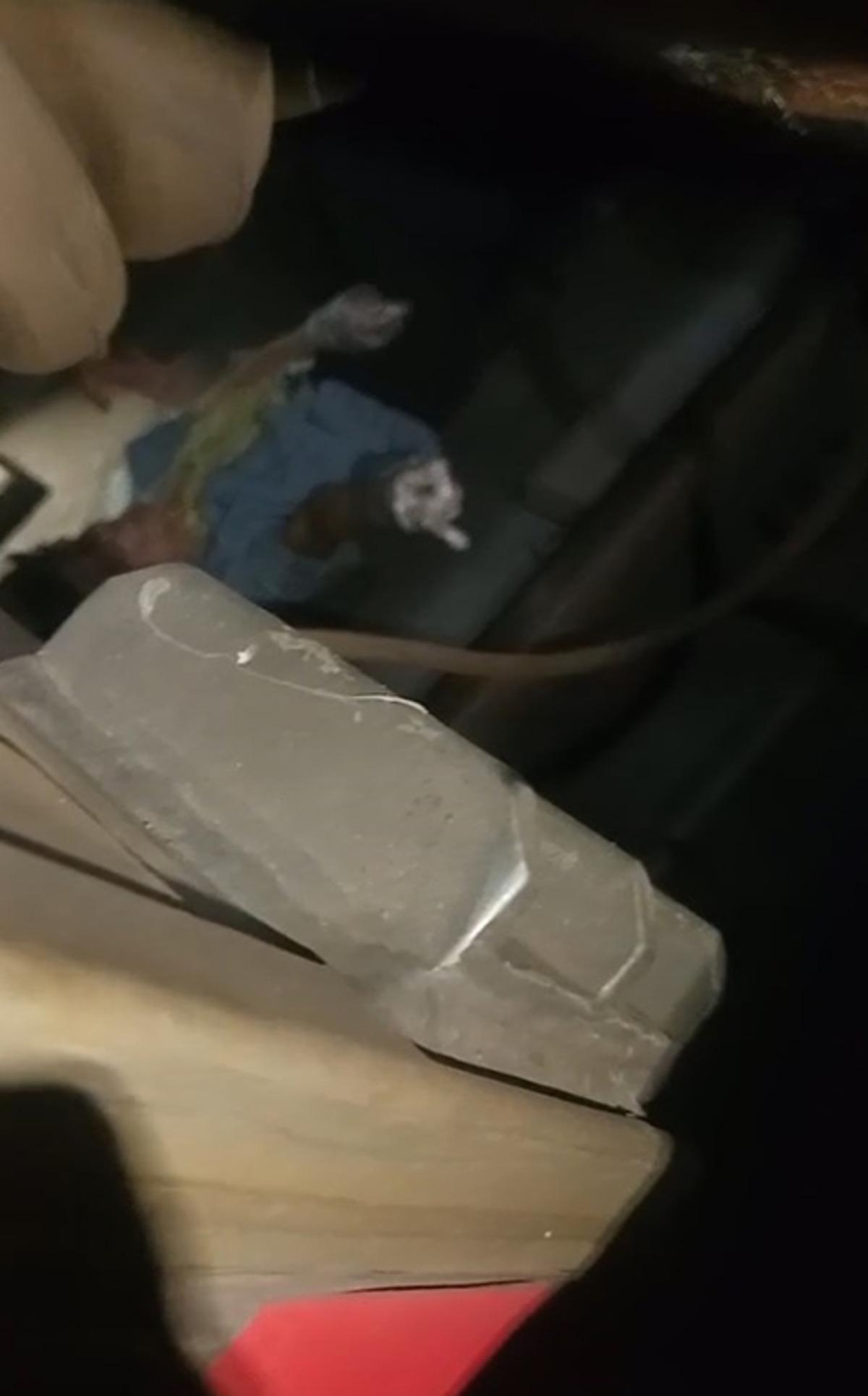 Marmaray da panik anları! Raylara oturan yolcu trenin altında sıkıştı 3