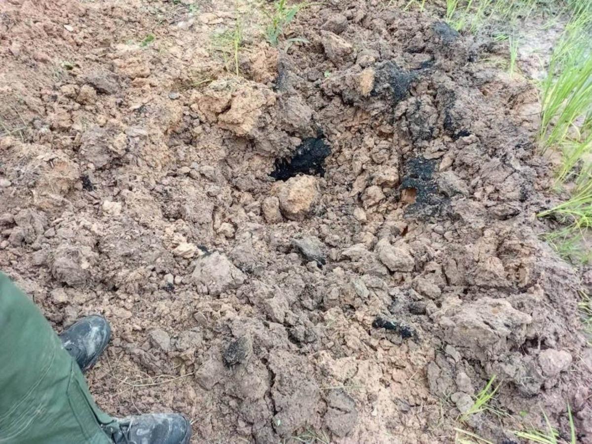 Tayland da evcil k&ouml;pek, eve el bombası getirdi 4
