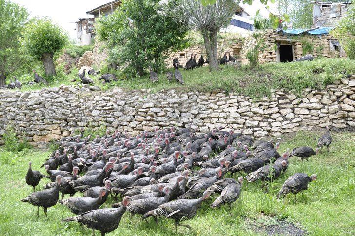 Hobi olarak başladı, çiftlik kurmak istiyor G1